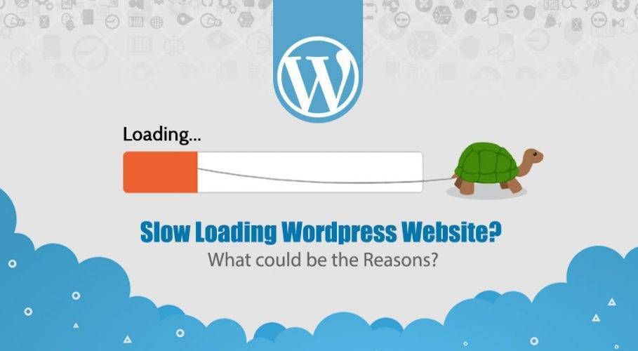 Top Reasons for Slow WordPress Website Speed and How to Fix Them